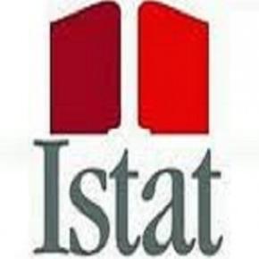 istat 2013 istat 2013