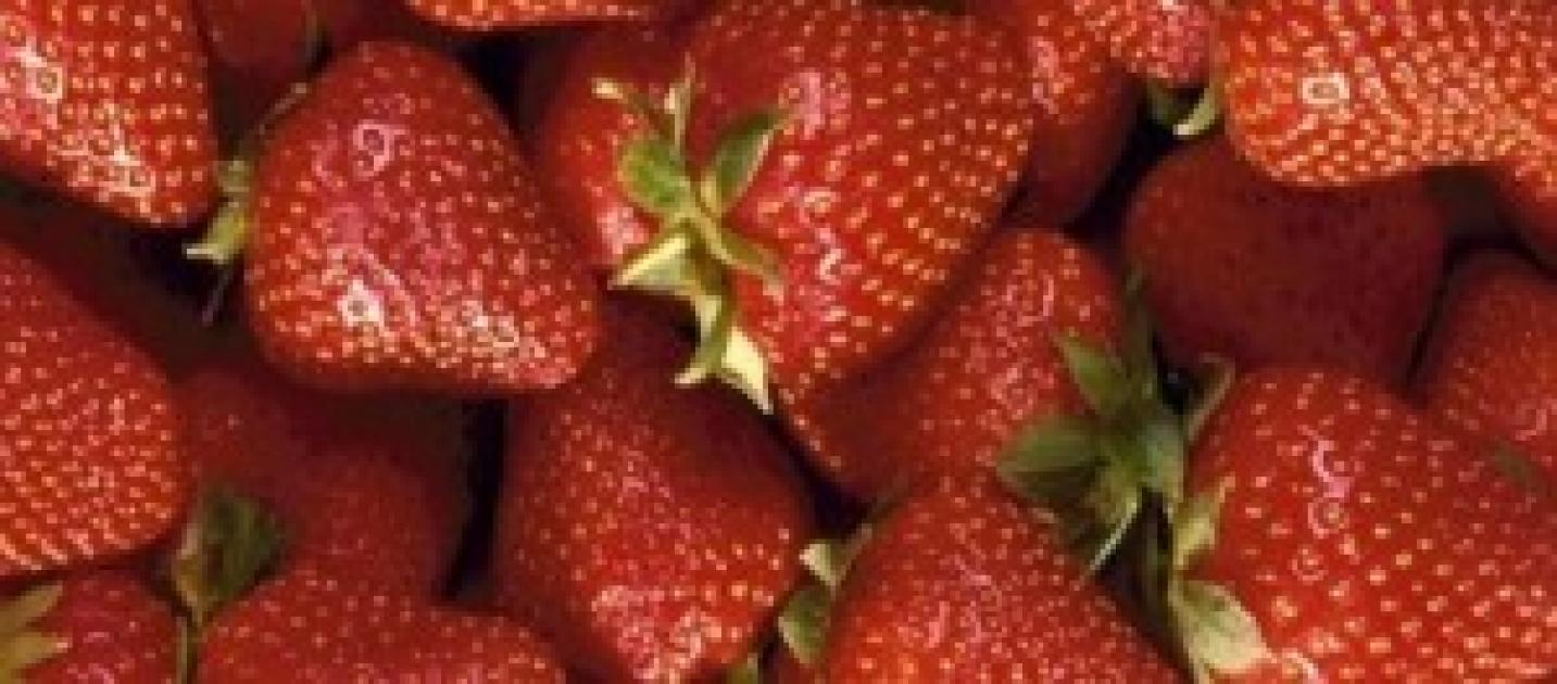 La vena su una gamba fa male il coagulo di sangue può