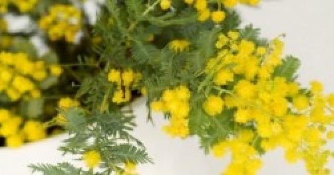 serata piccante amore gratis per gli uomini serata piccante amore gratis per gli uomini