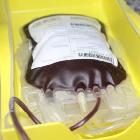 Paciente é contaminado após transfusão de sangue