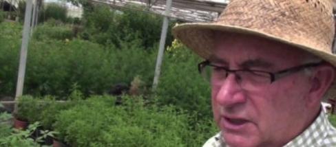 Josep Pamiés con sus plantas