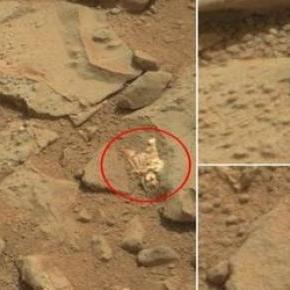 Mistero Su Marte Curiosity Scopre Fossile Alieno