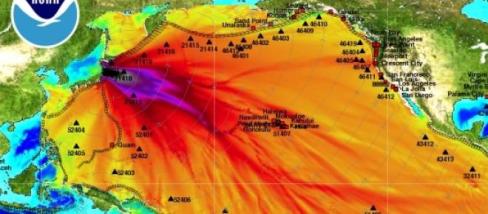 Fukushima ha contaminato quasi 1/3 degli oceani 