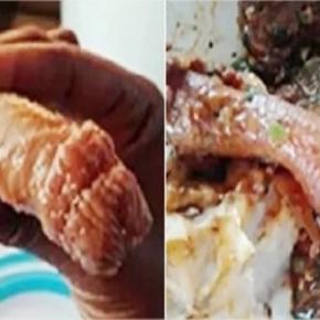 como aumentar o orgao genital masculino