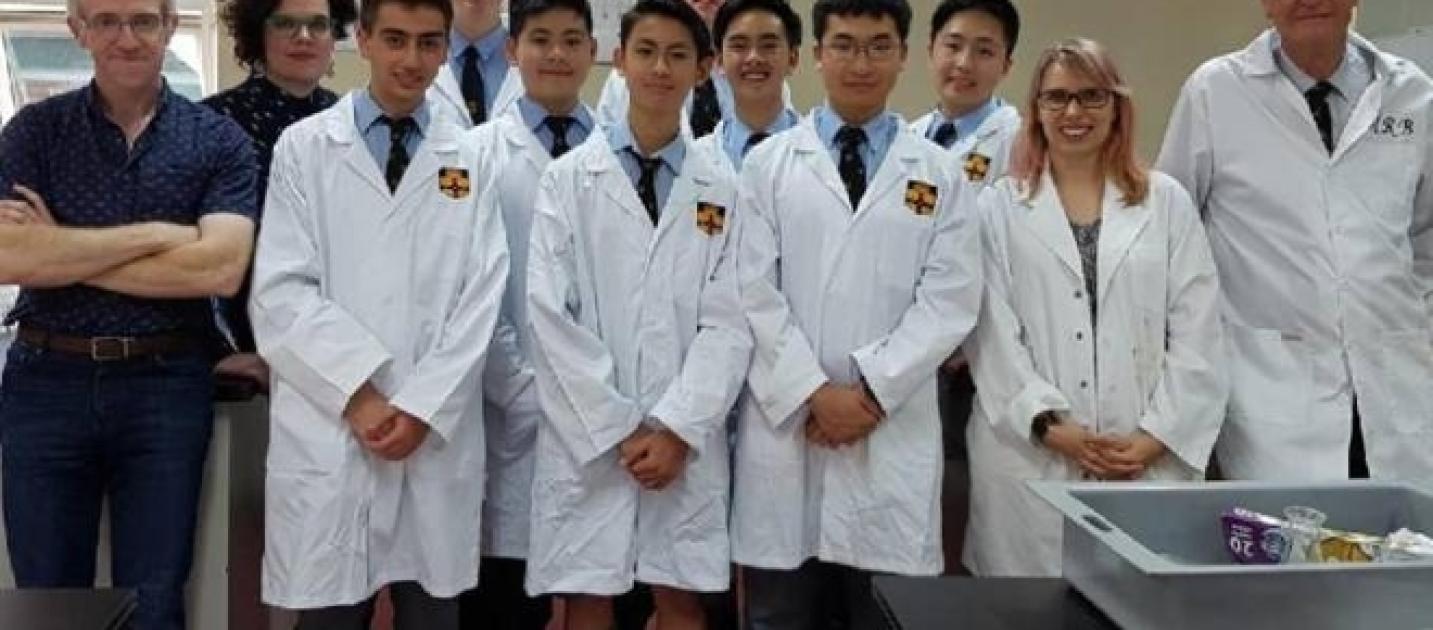 Principio ativo do cialis