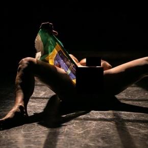 Mulher retira bandeira do Brasil da vagina
