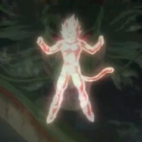 Saiyajin dios legendario, del cual se desconoce el nombre