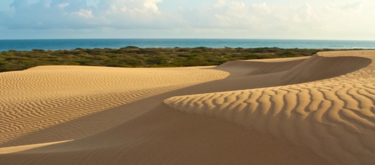 Venezuela maravillosa: Medanos de coro