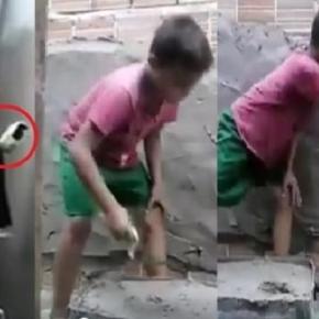 No Facebook, um vídeo que mostra um garoto feliz da vida trabalhando como auxiliar do pai