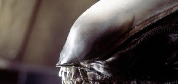Ridley Scott: aliens are out there and one day they'll come for us ... - modernsurvivalliving.com