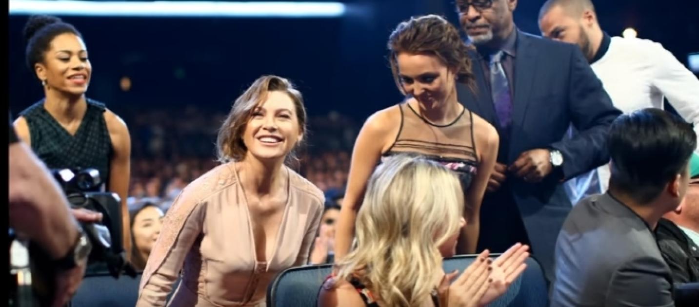 Greys Anatomy Season 14 Stream Greys Anatomy Season 14 Stream