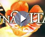 Un medico in famiglia 11 : ecco tutte le novità sulla serie