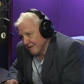 Sir David Attenborough doing voice-over work an Adele song. YouTube (Screencap-BBC Radio 1)