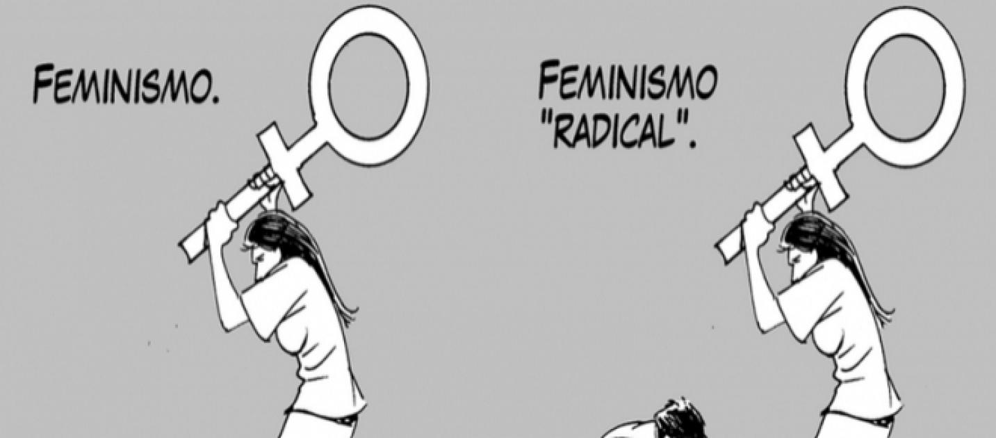 Radical feminism Flag.