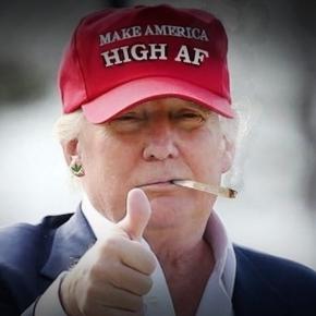 Fotomontaggio che ritrae Donald Trump con una canna di marijuana in bocca